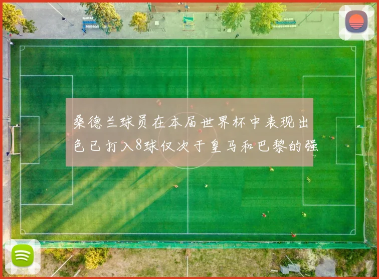 桑德兰球员在本届世界杯中表现出色已打入8球仅次于皇马和巴黎的强劲表现