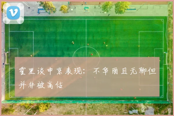 霍里谈申京表现：不华丽且无聊但并非被高估