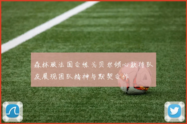 森林狼法国合练戈贝尔倾心款待队友展现团队精神与默契合作